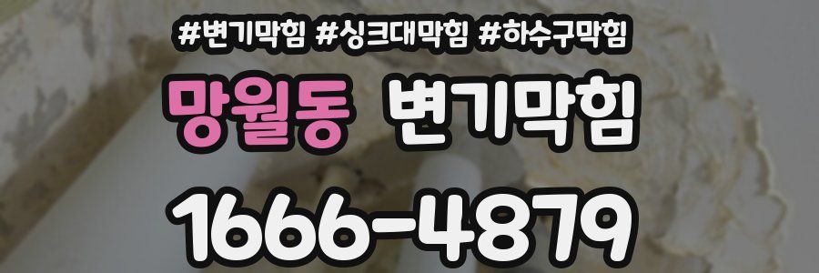 변기막힘