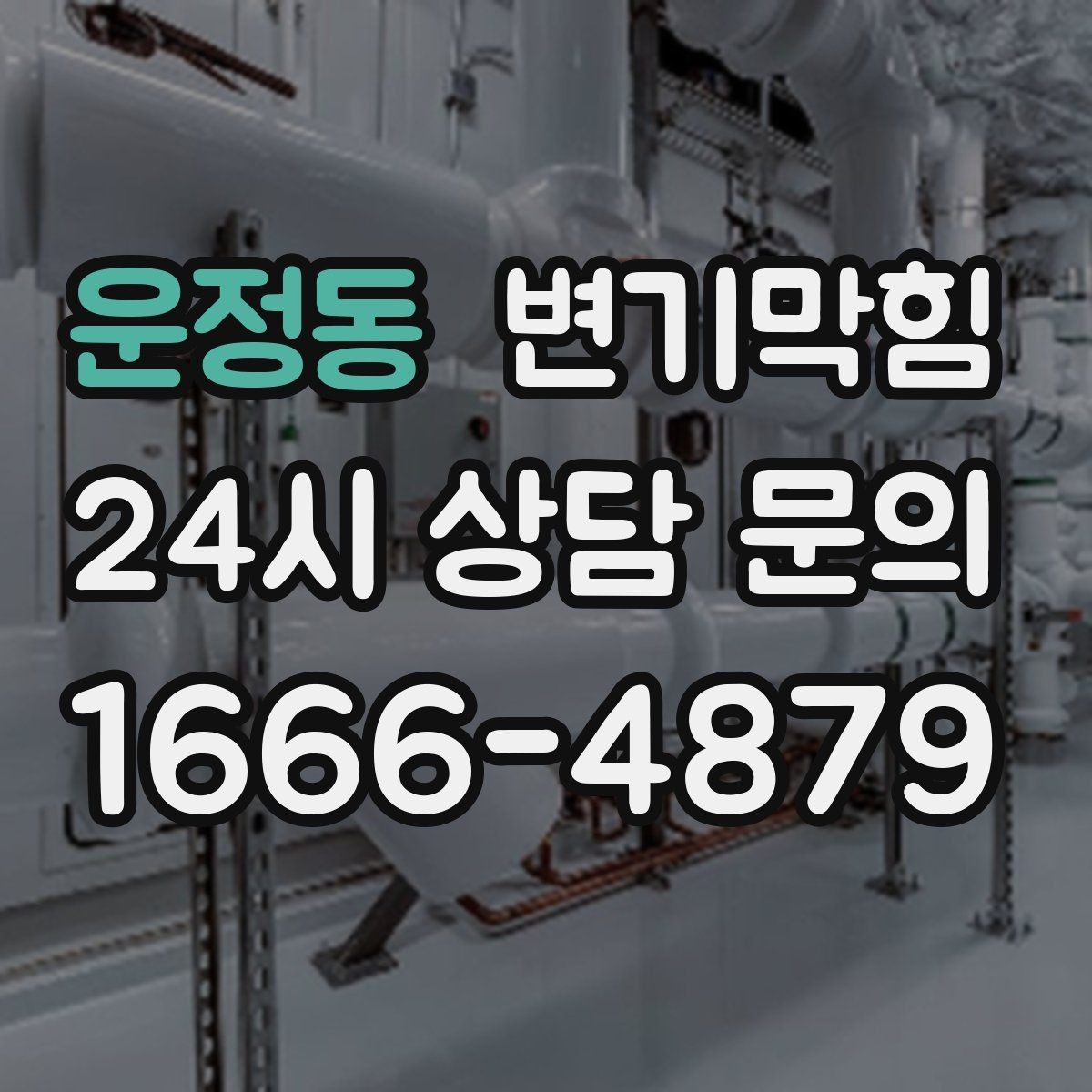 운정동 변기막힘 변기뚫는업체 사진·영상 공유의 이점