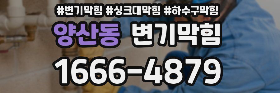 변기막힘