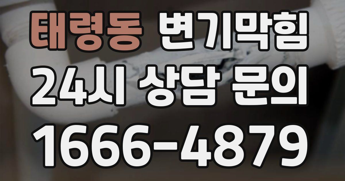 태령동 변기