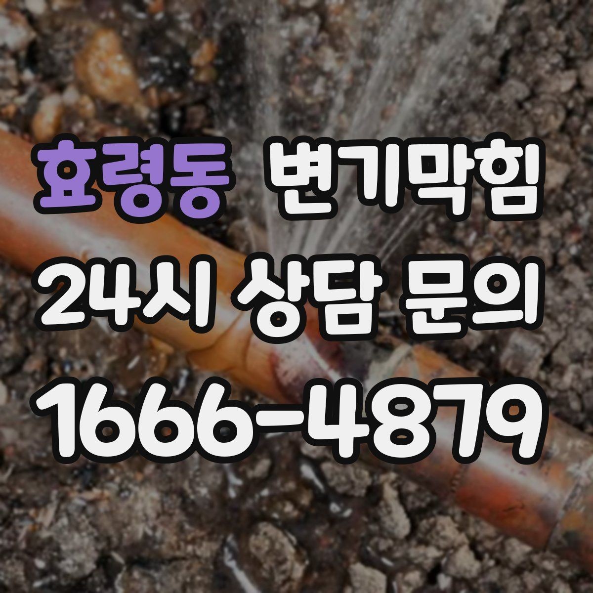 효령동 변기막힘 상가 화장실막힘 고객 동선 분리 운영