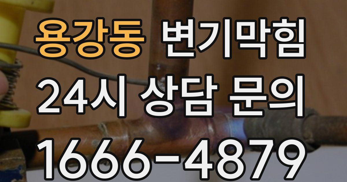 용강동 변기