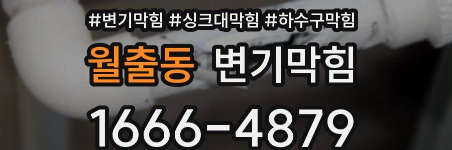 변기막힘