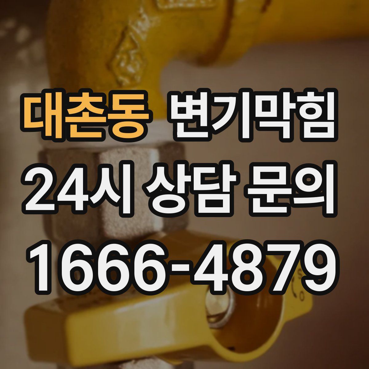 대촌동 변기막힘