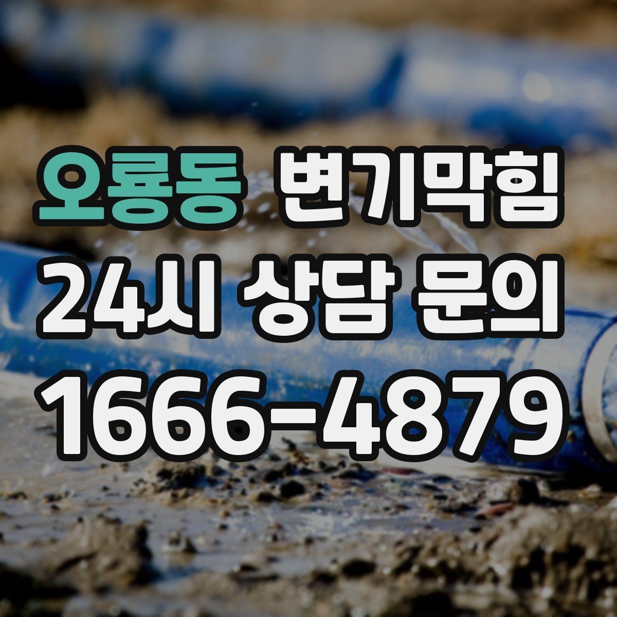 오룡동 변기막힘 변기뚫는비용 쓸데없는 항목 피하기