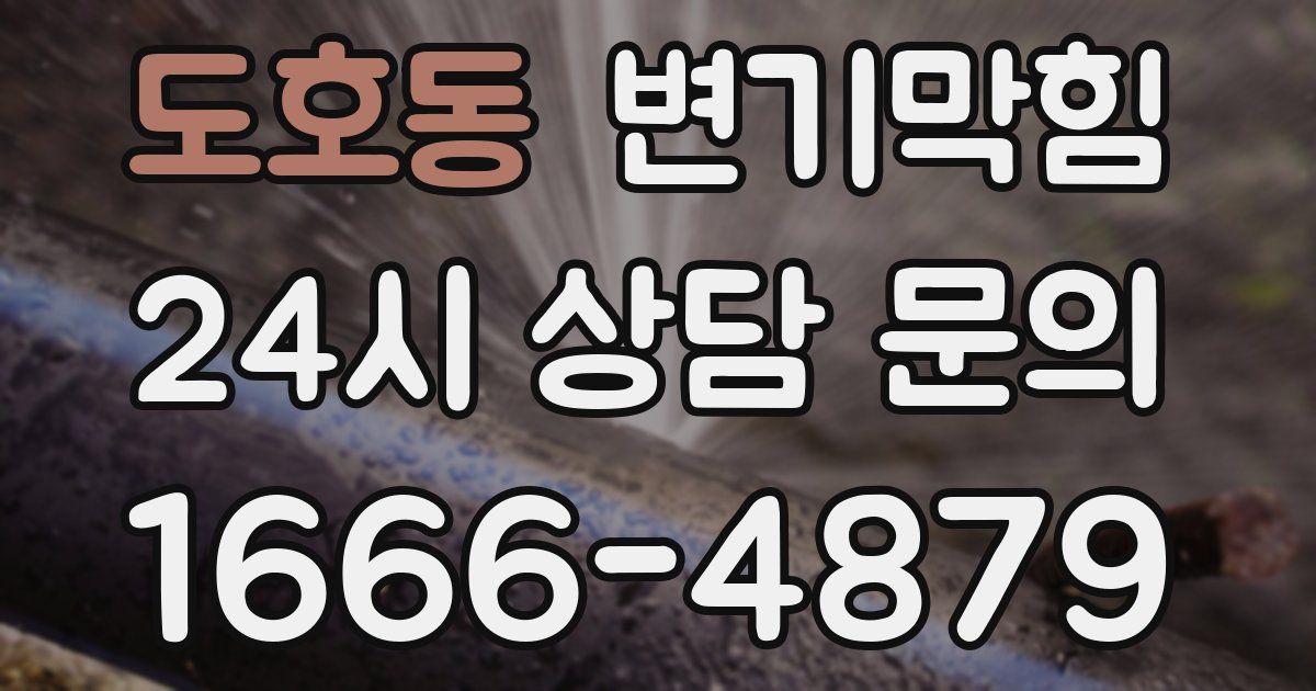 도호동 변기