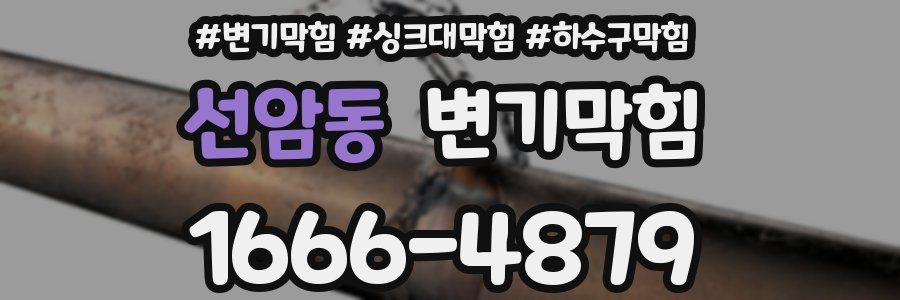변기막힘