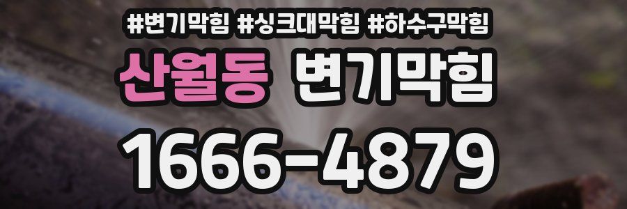 변기막힘