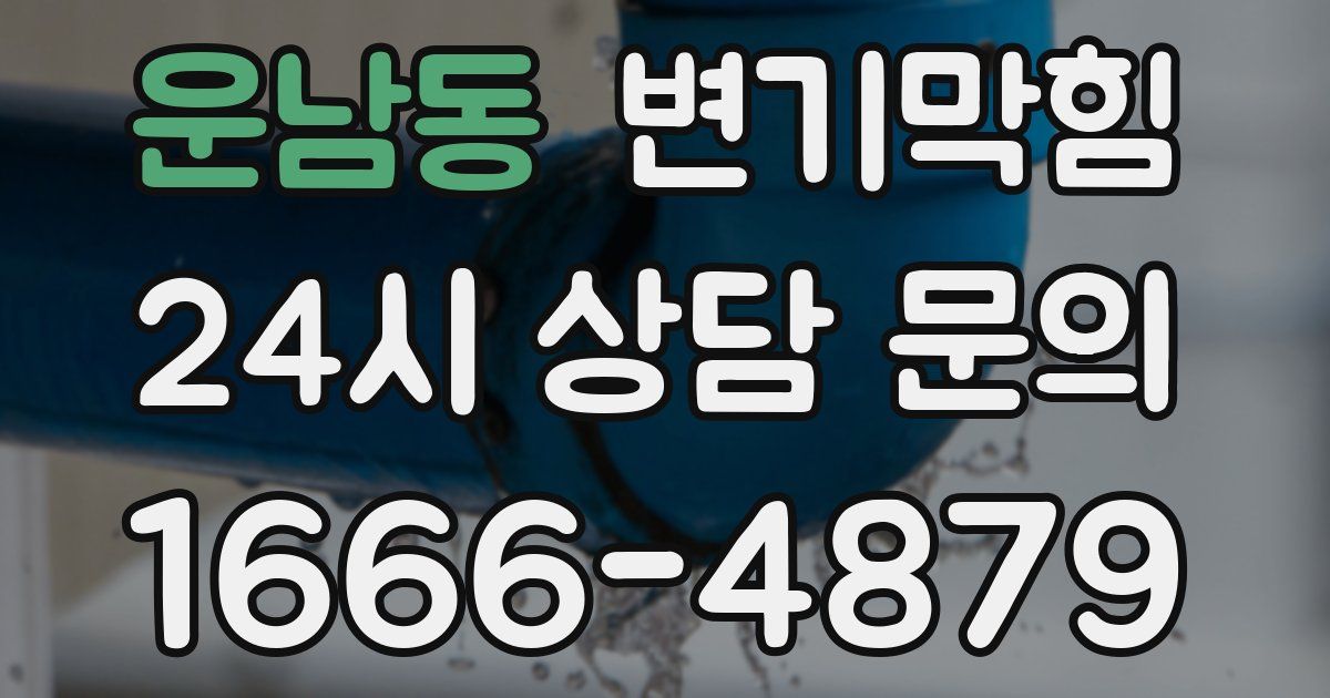 운남동 변기