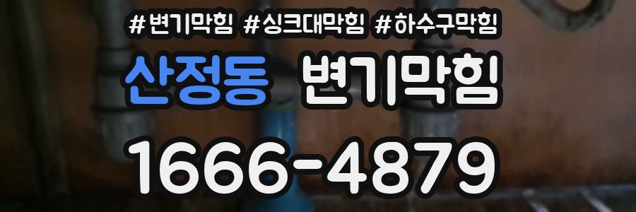 변기막힘