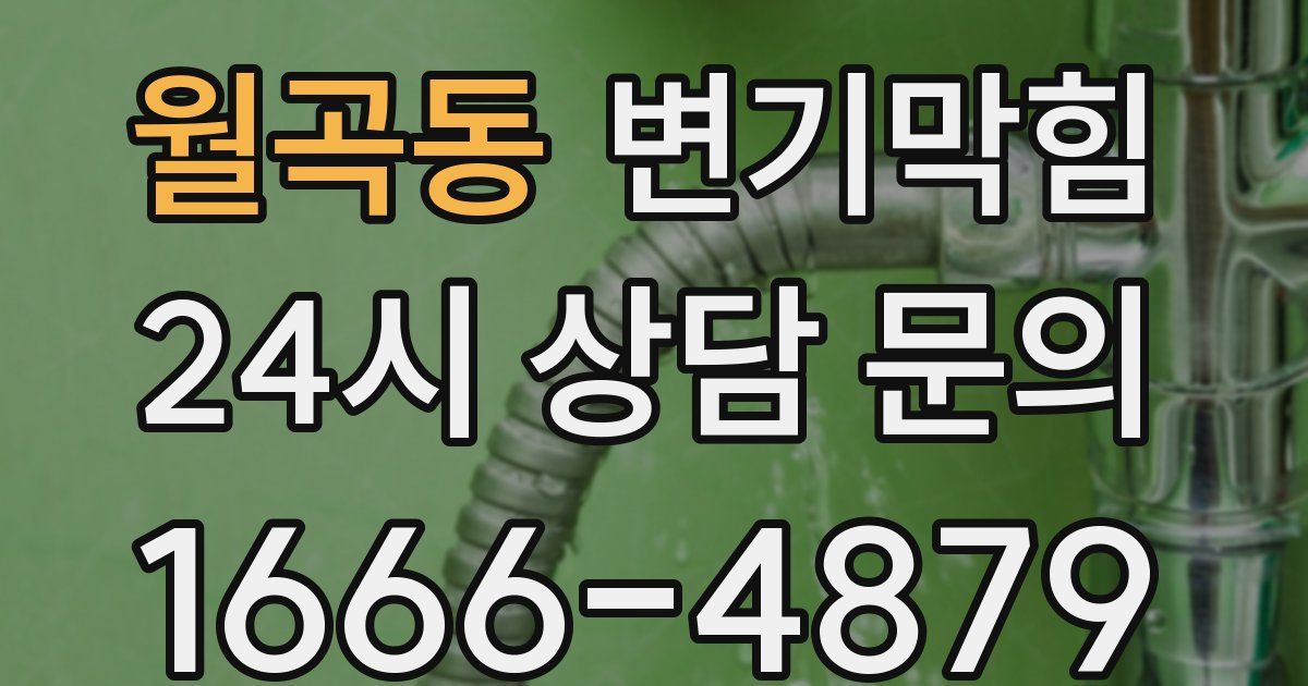 월곡동 변기