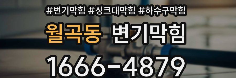 변기막힘