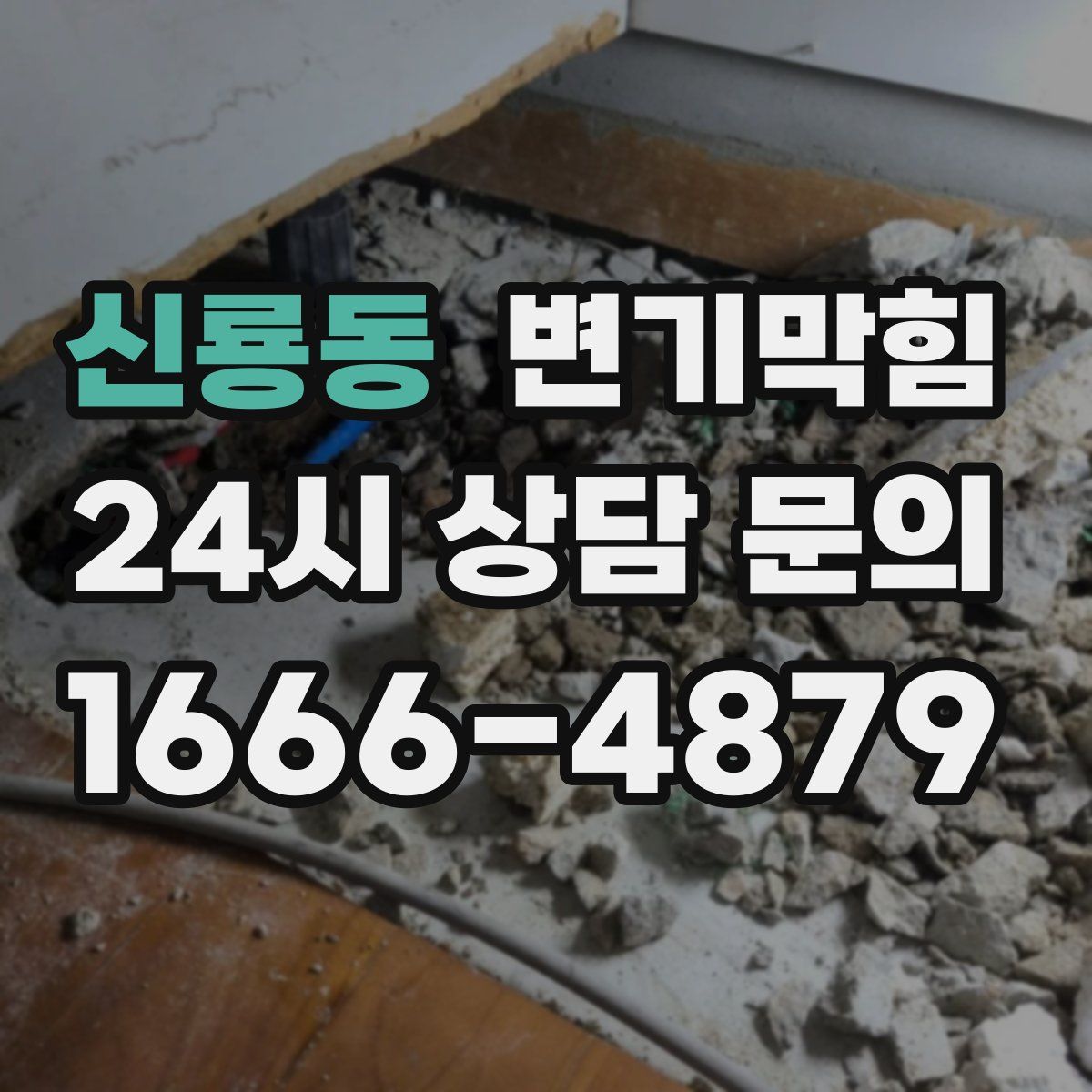 신룡동 변기막힘