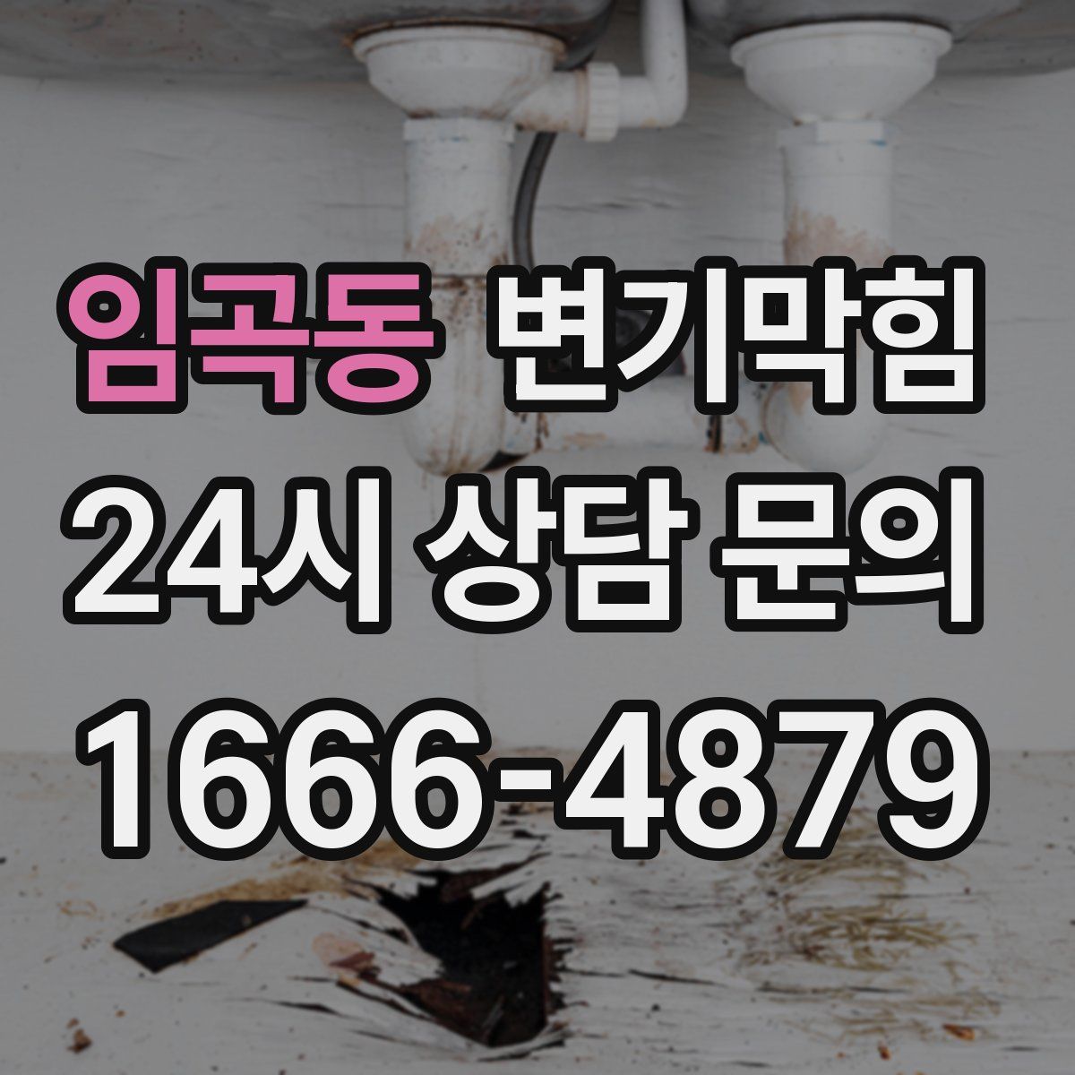 임곡동 변기막힘