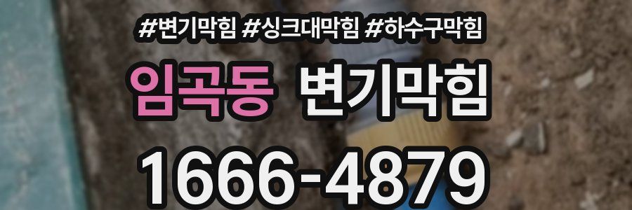 변기막힘