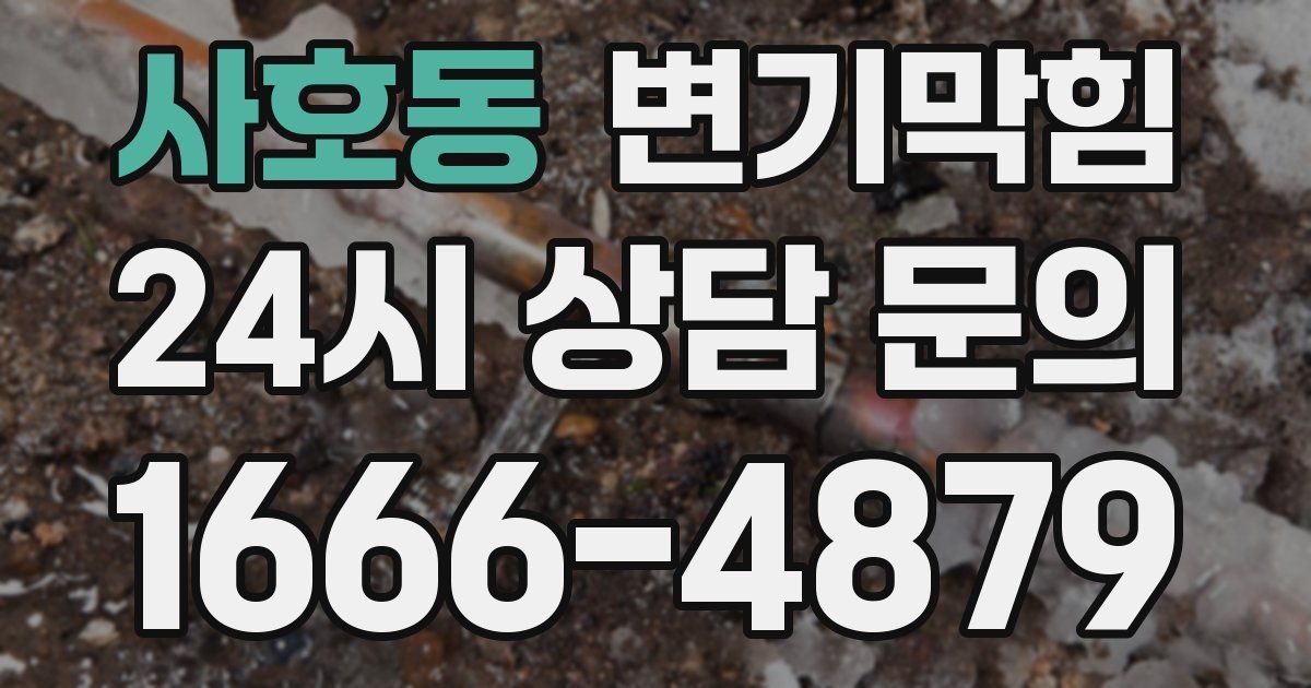 사호동 변기