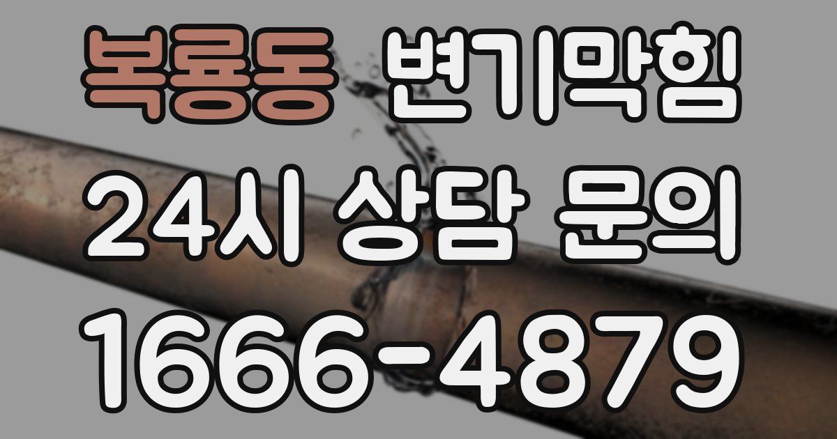 복룡동 변기