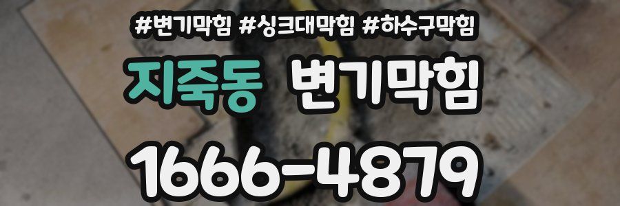 변기막힘