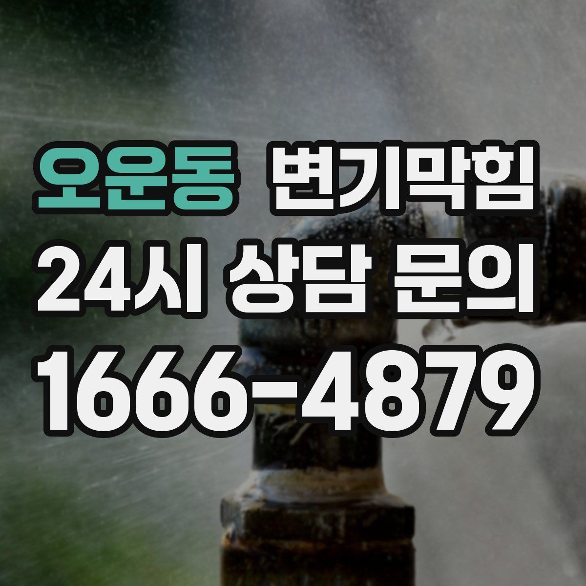 오운동 변기막힘