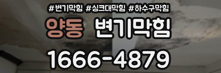 변기막힘