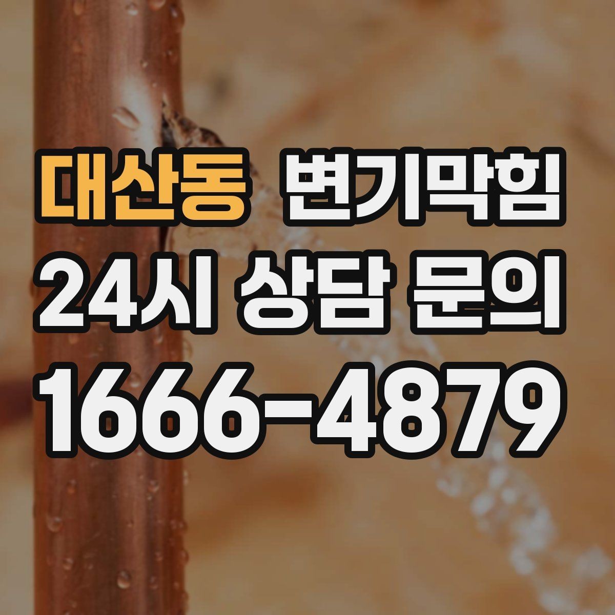 대산동 변기막힘 미용실 배수구막힘 약제와 컷팅 병행