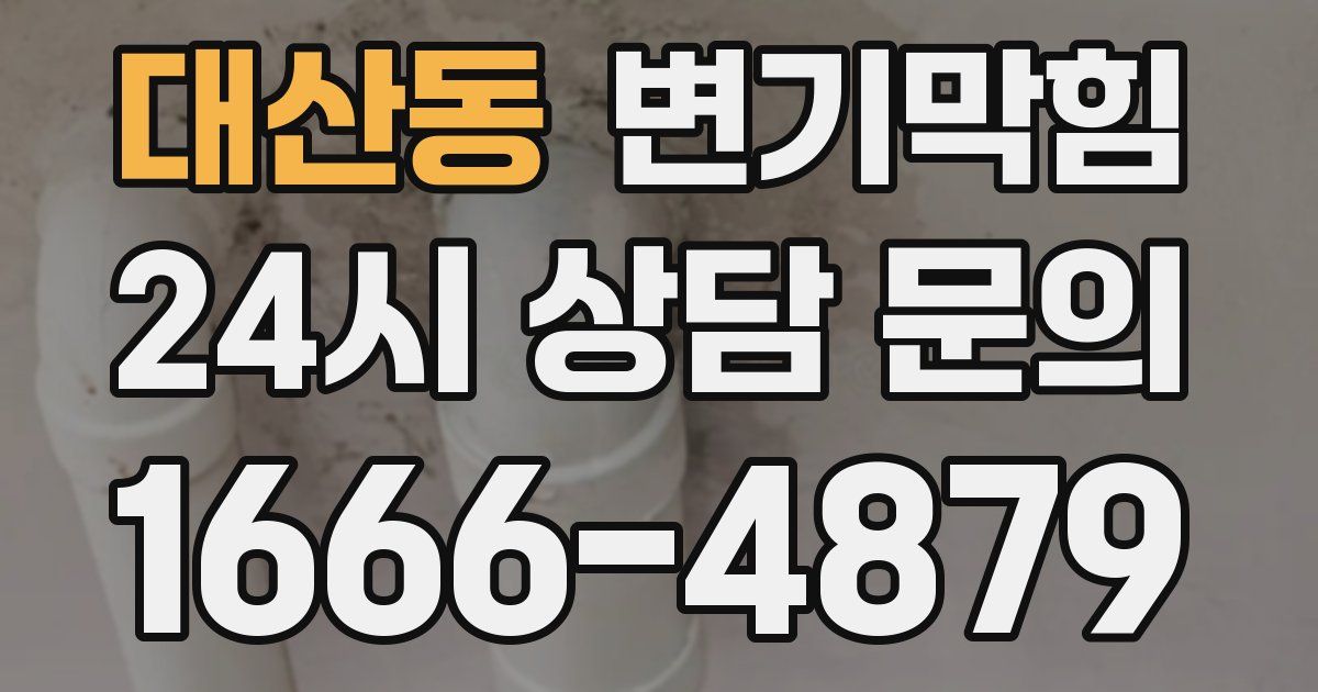 대산동 변기