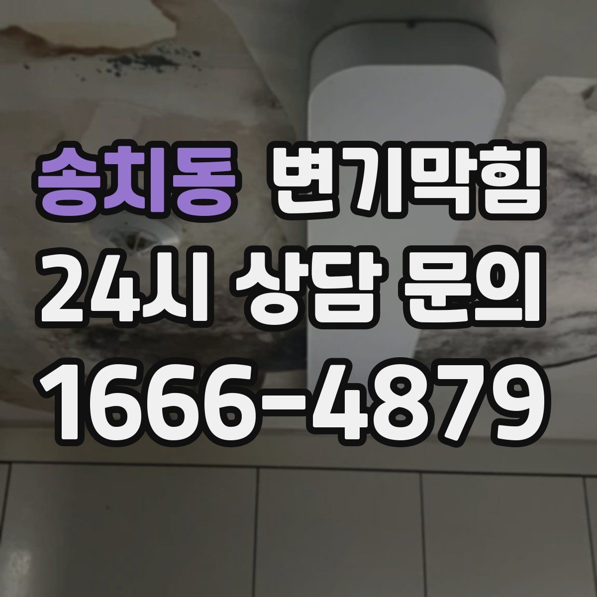 송치동 변기막힘 카페 변기뚫기 고객 대기 최소화