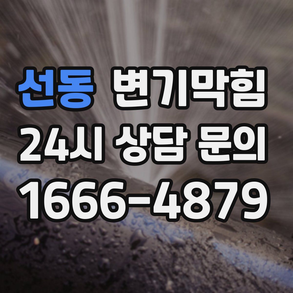 선동 변기막힘