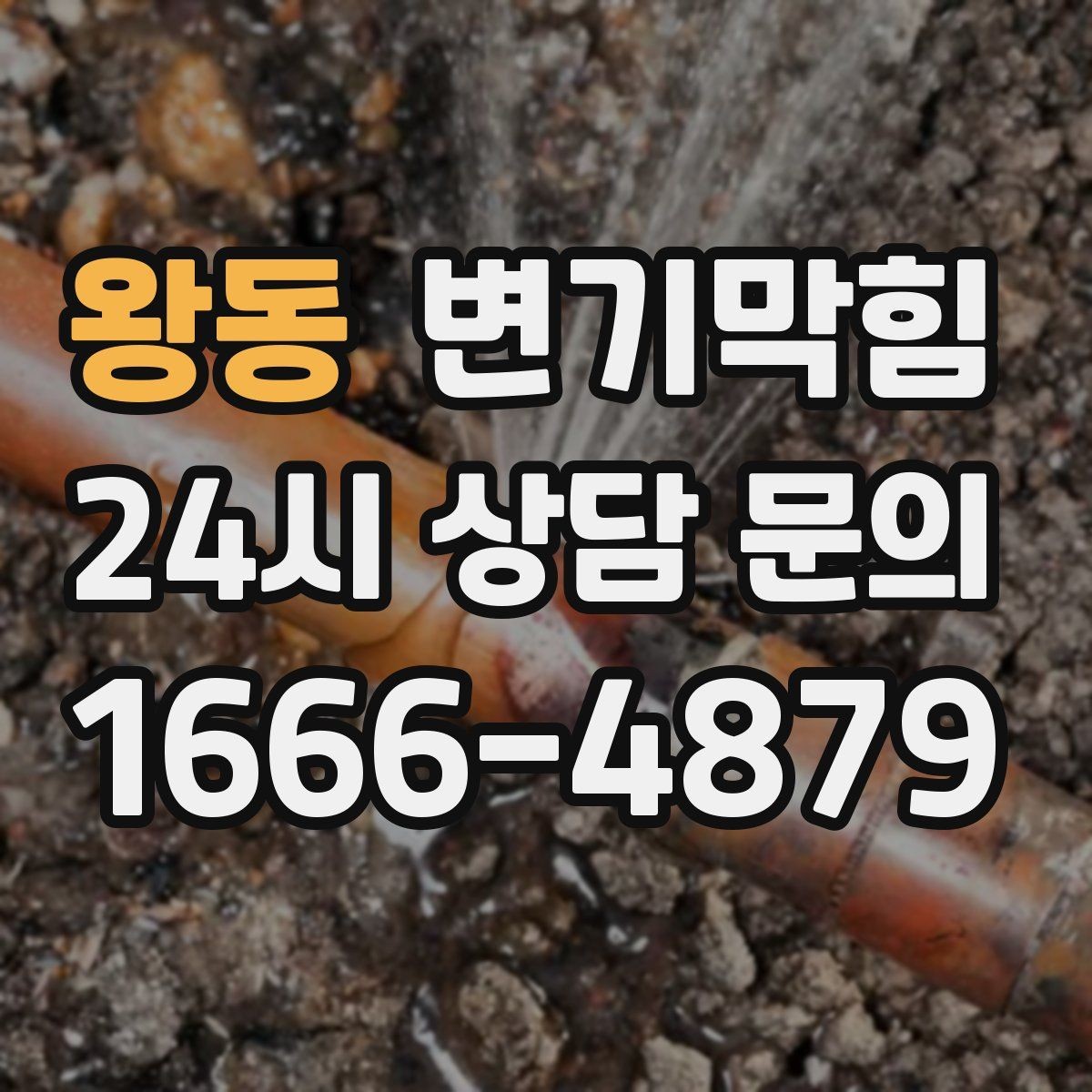 왕동 변기막힘 변기가 막혔을 때 물 내림 잠시 멈추기