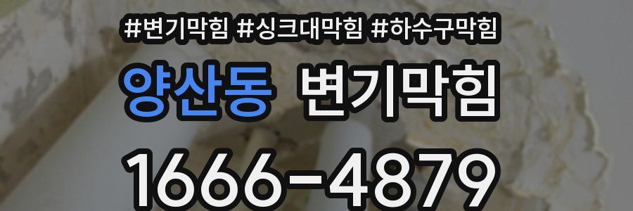 변기막힘