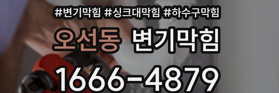 변기막힘