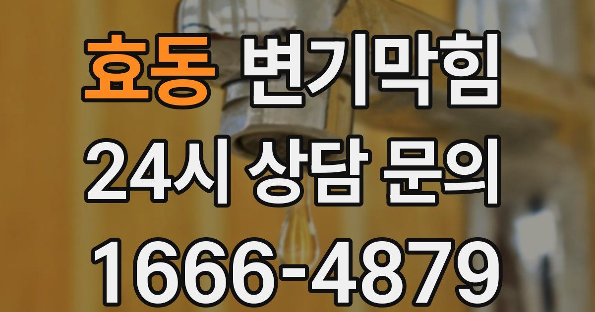 효동 변기