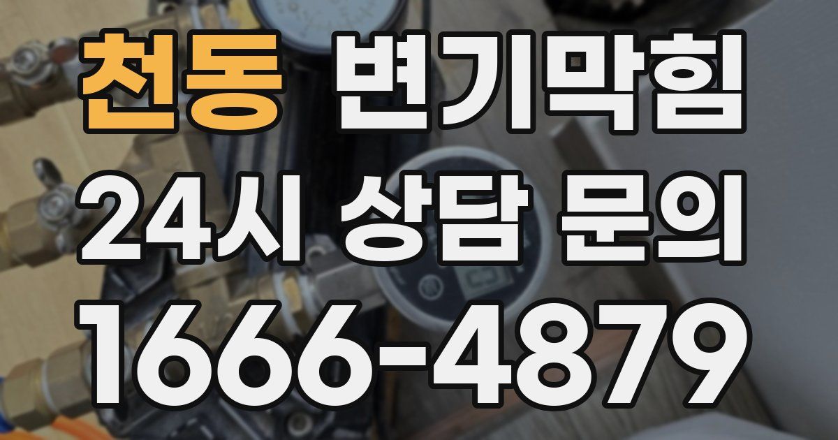 천동 변기