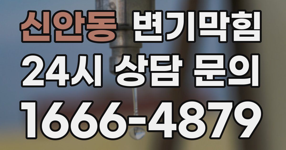 신안동 변기