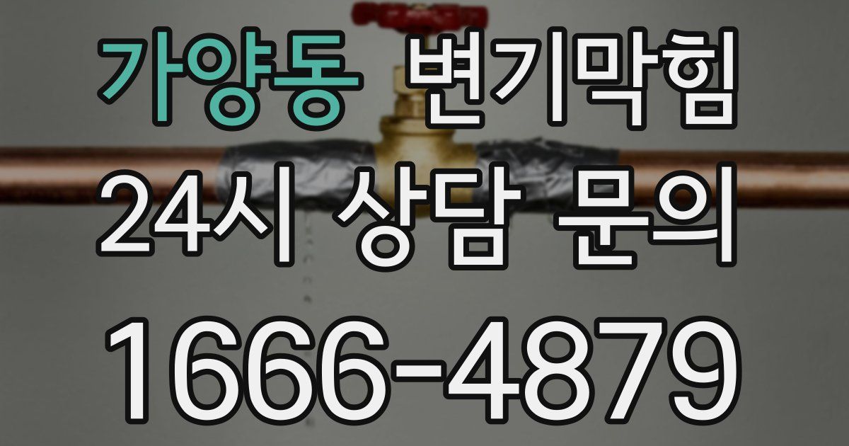 가양동 변기