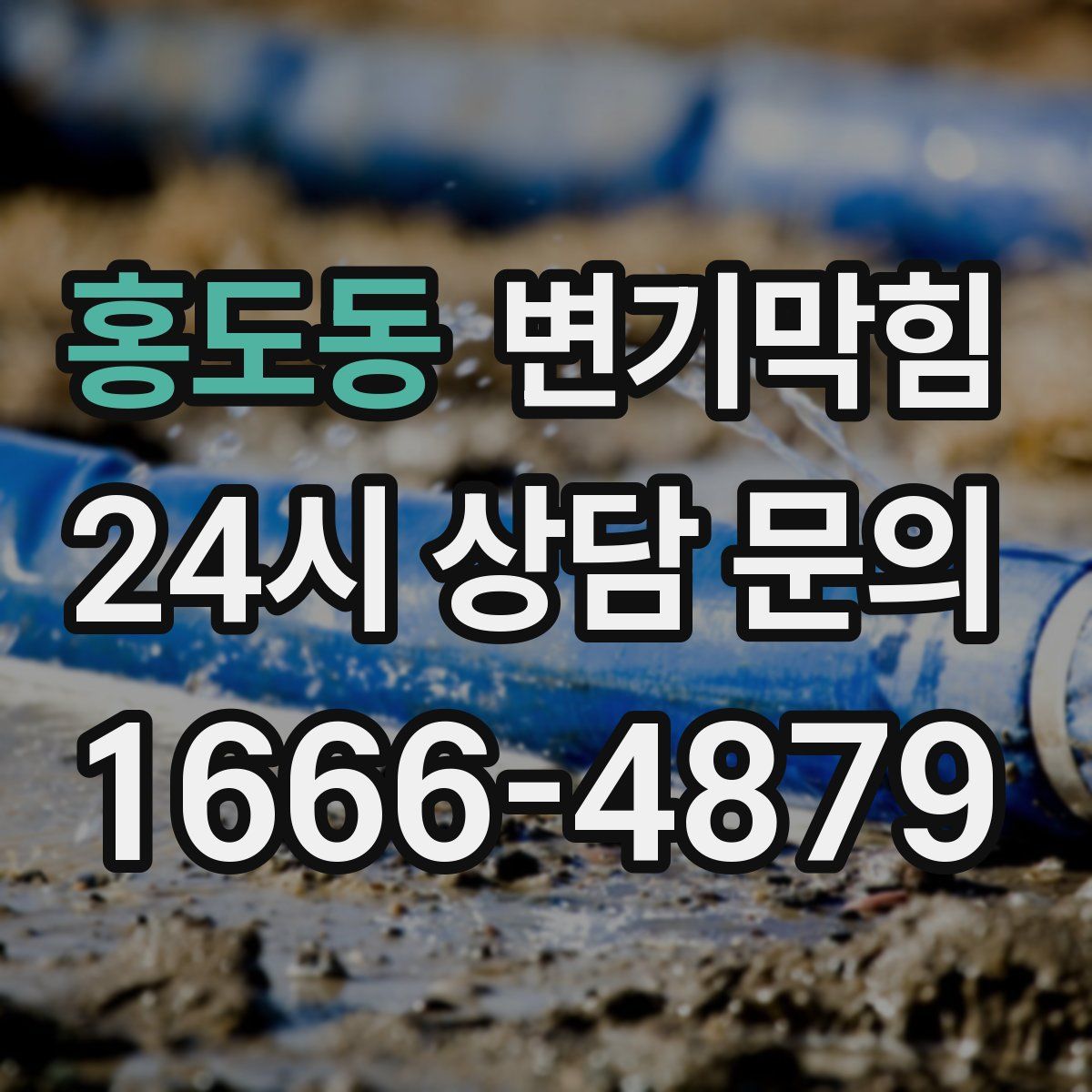 홍도동 변기막힘