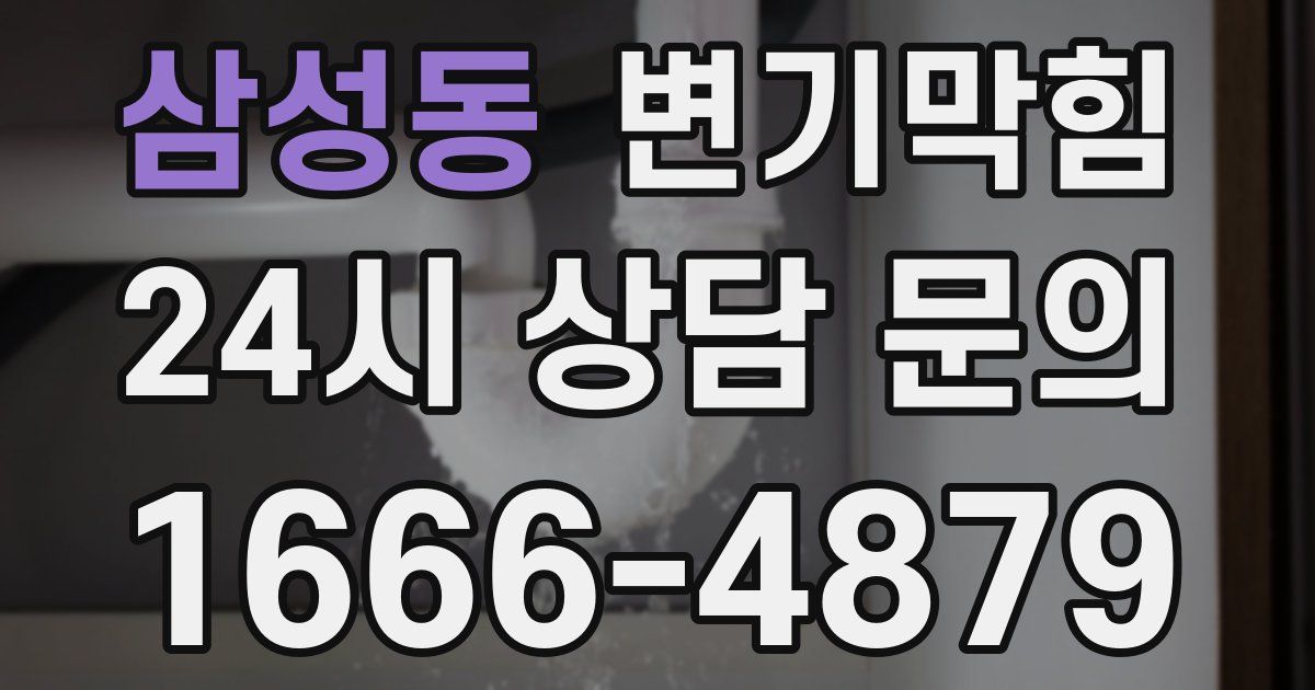 삼성동 변기
