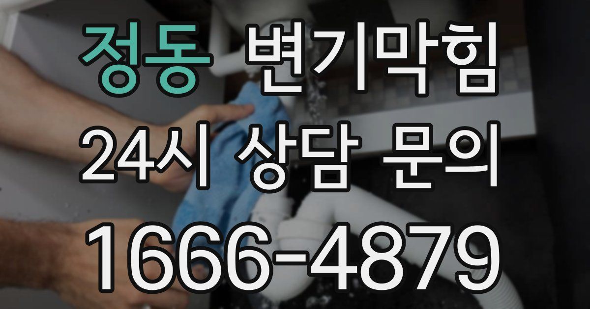정동 변기