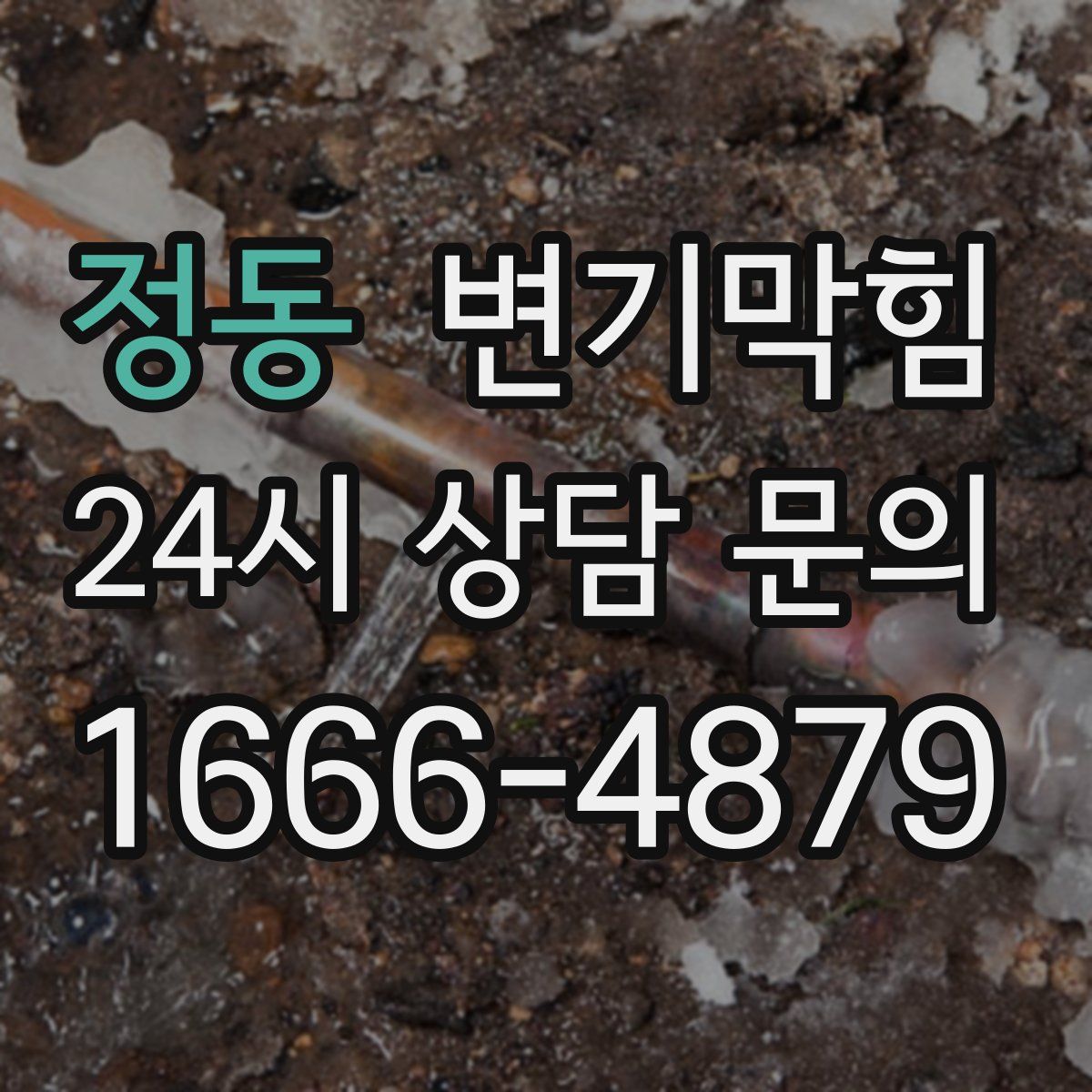 정동 변기막힘