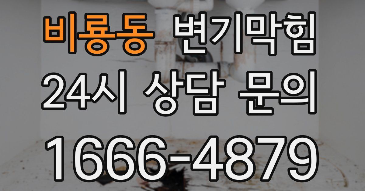 비룡동 변기