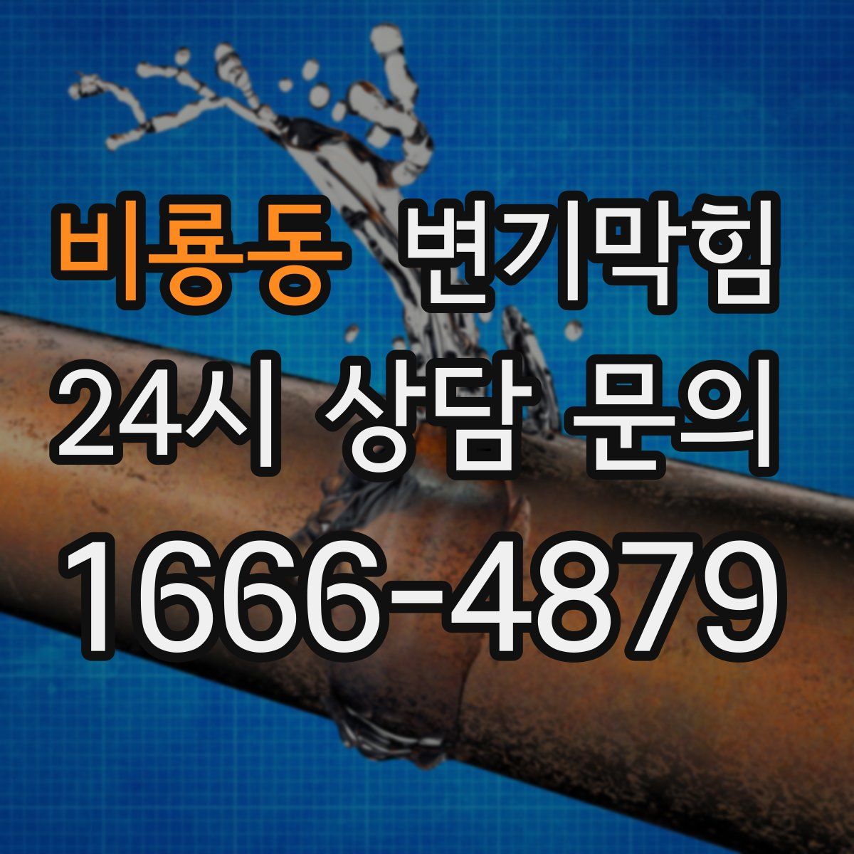 비룡동 변기막힘