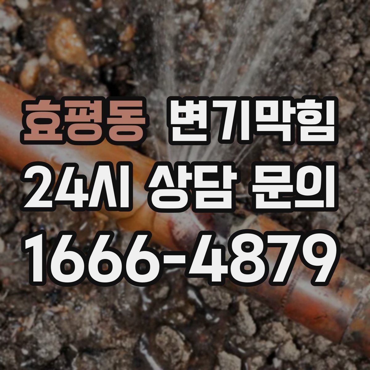 효평동 변기막힘 단독 주택 변기뚫는방법 적용 사례