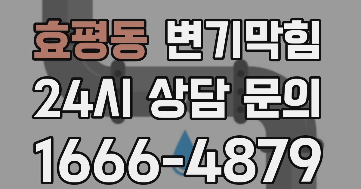 효평동 변기