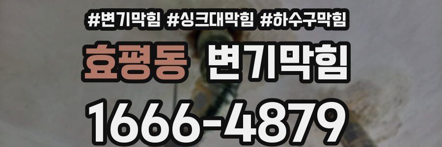 변기막힘