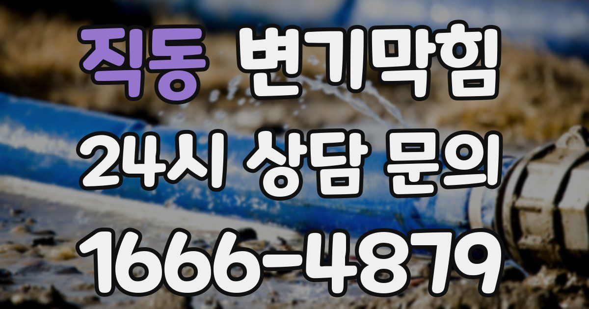 직동 변기