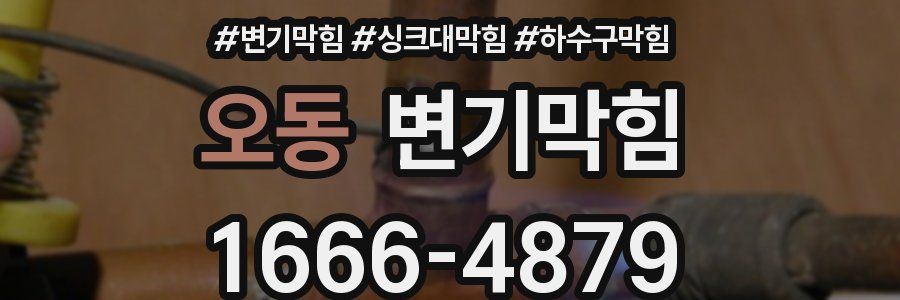 변기막힘
