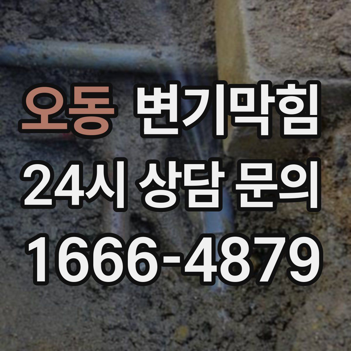 오동 변기막힘