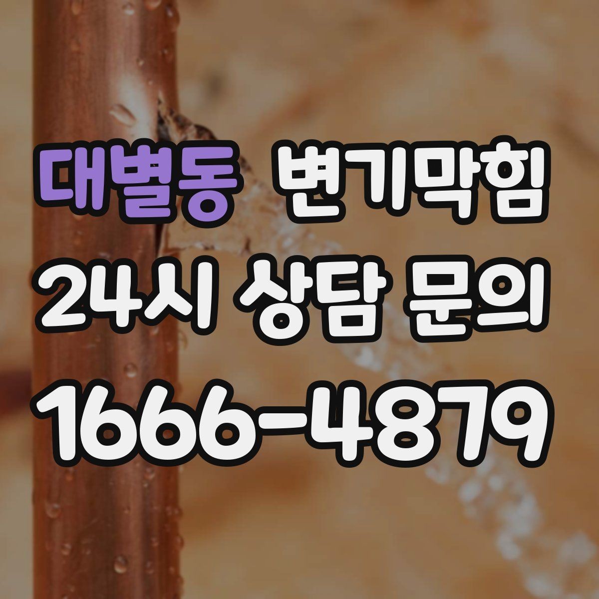 대별동 변기막힘 식당 하수구뚫기 주말 민원 제로