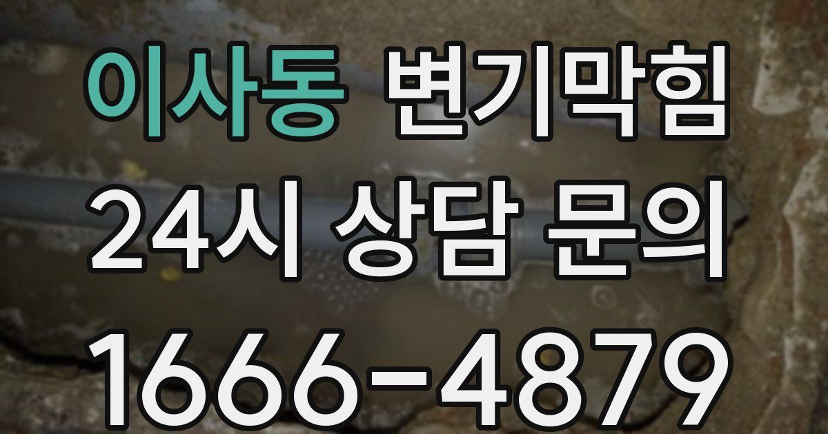 이사동 변기