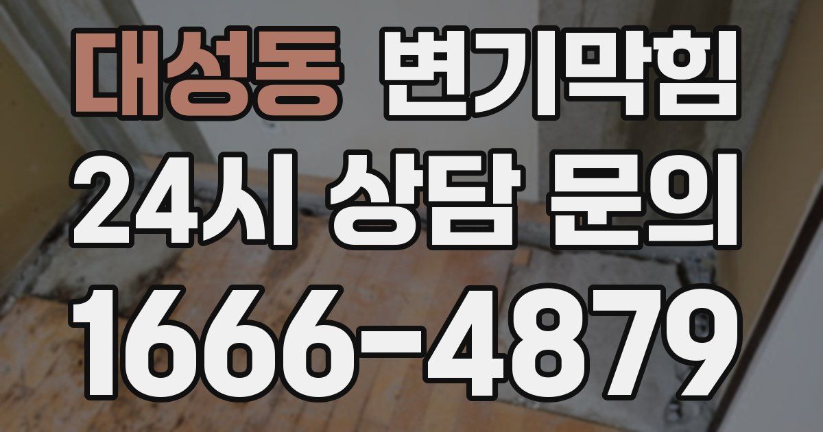 대성동 변기